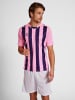 Hummel Hummel T-Shirt Hmlcore Multisport Herren Atmungsaktiv Feuchtigkeitsabsorbierenden in COTTON CANDY/ACAI