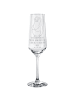 Mr. & Mrs. Panda Champagnerglas Pinguin Diät mit Spruch in Transparent
