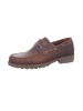 PANAMA JACK Schnürschuh in braun