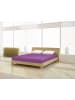 Mr.Sandman Spannbetttuch Elastan basic 140-160 x 200-220 cm in dunkel magenta