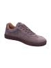 KOEL Damen- Schnürschuhe  in Beige