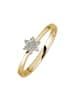 Lyomi 585/- Gold in gelb