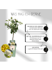 NatureNest Bio-Birnbaum  1 x Pyrus communis 