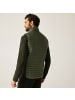 Regatta Andreson Bodywarmer in Oliv