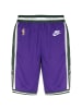 Nike Performance Shorts NBA Milwaukee Bucks Swingman Dri-FIT in lila / grün