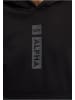 Alpha Industries Alpha Industries Kapuzenpullover in black