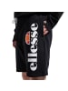 ellesse Shorts in Schwarz