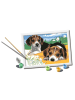 Ravensburger Ravensburger Malprodukte Jack Russell Welpen in bunt