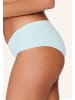 Linga Dore 2-pack Hipster DAILY in Pastel blue