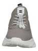 Steve Madden Sneaker in Taupe