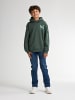 Petrol Industries Grafisches Hoodie Deschutes in Grün