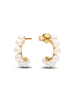 Pandora Ohrringe für Damen in gold