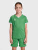 Hummel T-Shirt Raglanärmel Hmlcore Kinder in JELLY BEAN