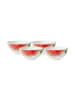 Villeroy & Boch 4er Set Schälchen Amazonia ø 11 cm bunt in bunt