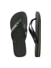Havaianas Tong Brasil Logo Grün