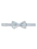 Finshley & Harding London Fliege und Einstecktuch in silber schilf - 0001