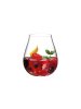 Riedel (Gläser) 4 er-Set Contemporary Ginset in Transparent