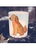 Mr. & Mrs. Panda Windlicht aus Glas Blümchener Spaniel Moment ohne S... in Transparent