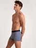 Calida Herren Shorts in Amaranth