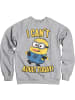 Minions Pullover in Grau