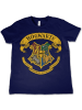 Harry Potter Shirt in Blau