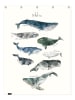 Juniqe Duschvorhang "Whales" in Blau & Cremeweiß