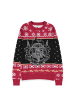 Harry Potter Hoodie in Multicolor