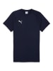 Puma T-Shirt 'teamEVOSTRIPE' in blau