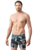 Muchachomalo 2er-Set: Boxershorts in Multicolor/Green