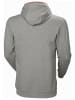 Helly Hansen Pullover in Grau