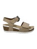 Josef Seibel Keilsandaletten in Beige