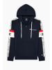 Champion Hoodie Half Zip Hooded Sweatshirt in Multicolor