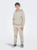 ONLY & SONS Junior Kapuzenpullover in Silver Lining