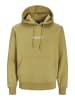 Jack & Jones Kapuzenpullover in Cedar