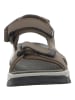 Skechers Sandale in braun