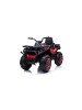 Wisam® Elektro-Ride-On-Quad XMX607 lackiert Spider