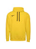 Nike Kapuzenpullover Park 20 Fleece Hoodie in gelb