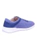 Finn Comfort Sneaker Low in blau