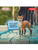 Schleich Rabbat der Fuchs14908 Die Schule der magischen Tiere 3+ Spielfigur