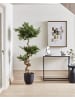 Beliani Kunstpflanze RUSCUS TREE in Grün/Schwarz - (W) 80 x (H) 166 x (L) 80 cm
