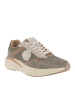 BLAUER USA Sneaker 10343824359766