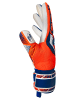 Reusch Torwarthandschuhe Attrakt Freegel Gold NC in 2500 shock orng/energ blue