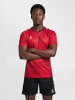 Hummel T-Shirt Raglanärmel Hmlmatch Erwachsene in TRUE RED/ZINFANDEL