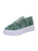 Gemini Plateau Schnürschuhe in Grün