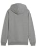 Puma Hoodie "TeamGoal CasuaLongsleeve Hoody Jr" in Grau