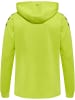 Hummel Hummel Kapuzenpullover Hmlcore Multisport Erwachsene Atmungsaktiv Schnelltrocknend in LIME POPSICLE