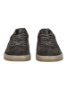 BLAUER USA Sneaker Dunkelgrau