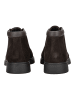 Geox Stiefelette in Dunkelbraun