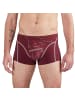 EIN SCHÖNER FLECK ERDE Boxershort 1er Pack in Großglockner (Rost)