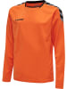 Hummel Trikot L/S Hmlauthentic Kids Poly Jersey L/S in TANGERINE